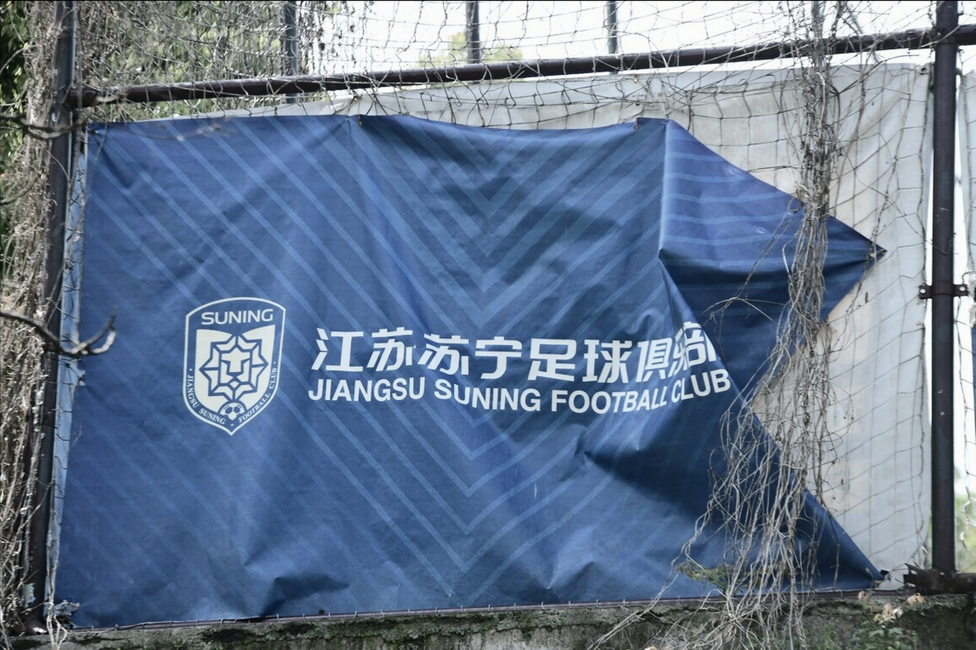 江苏苏宁主场战胜深圳佳兆业稳居积分榜前列的简单介绍