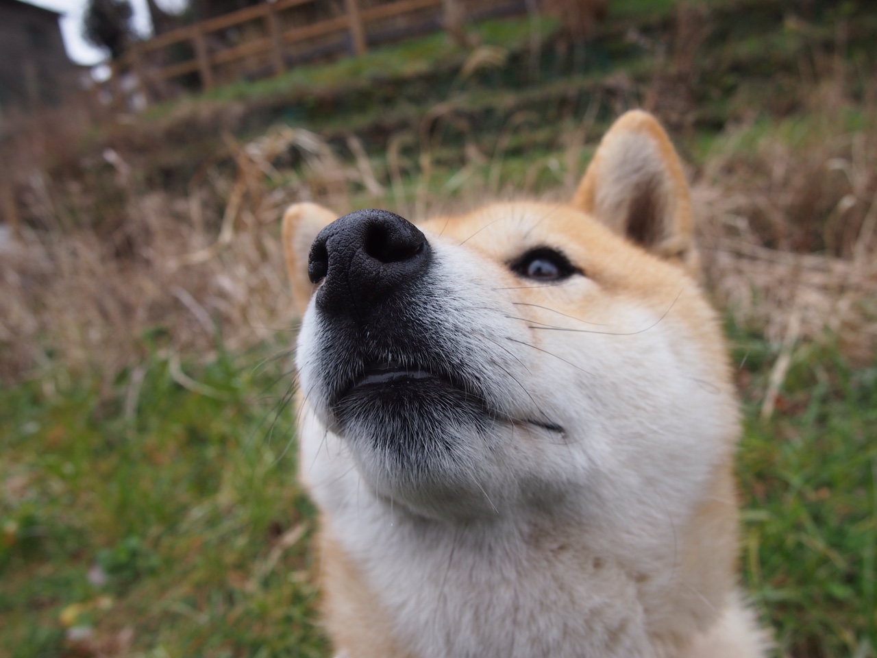 狂暴之夜！阿劳霍轰下生涯新高，XXX队主场力克宿敌