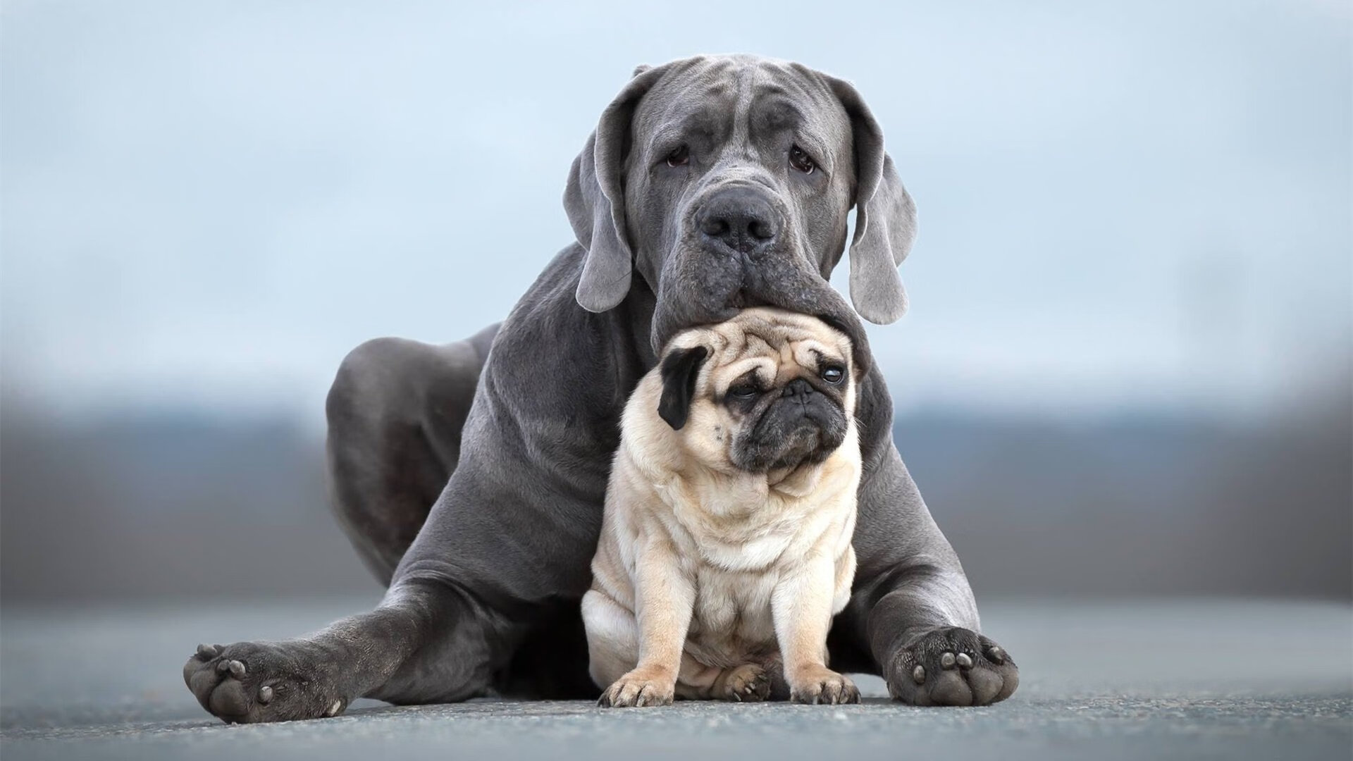 库尔图瓦关键扑救连番建功，马赛力克墨西哥夺胜