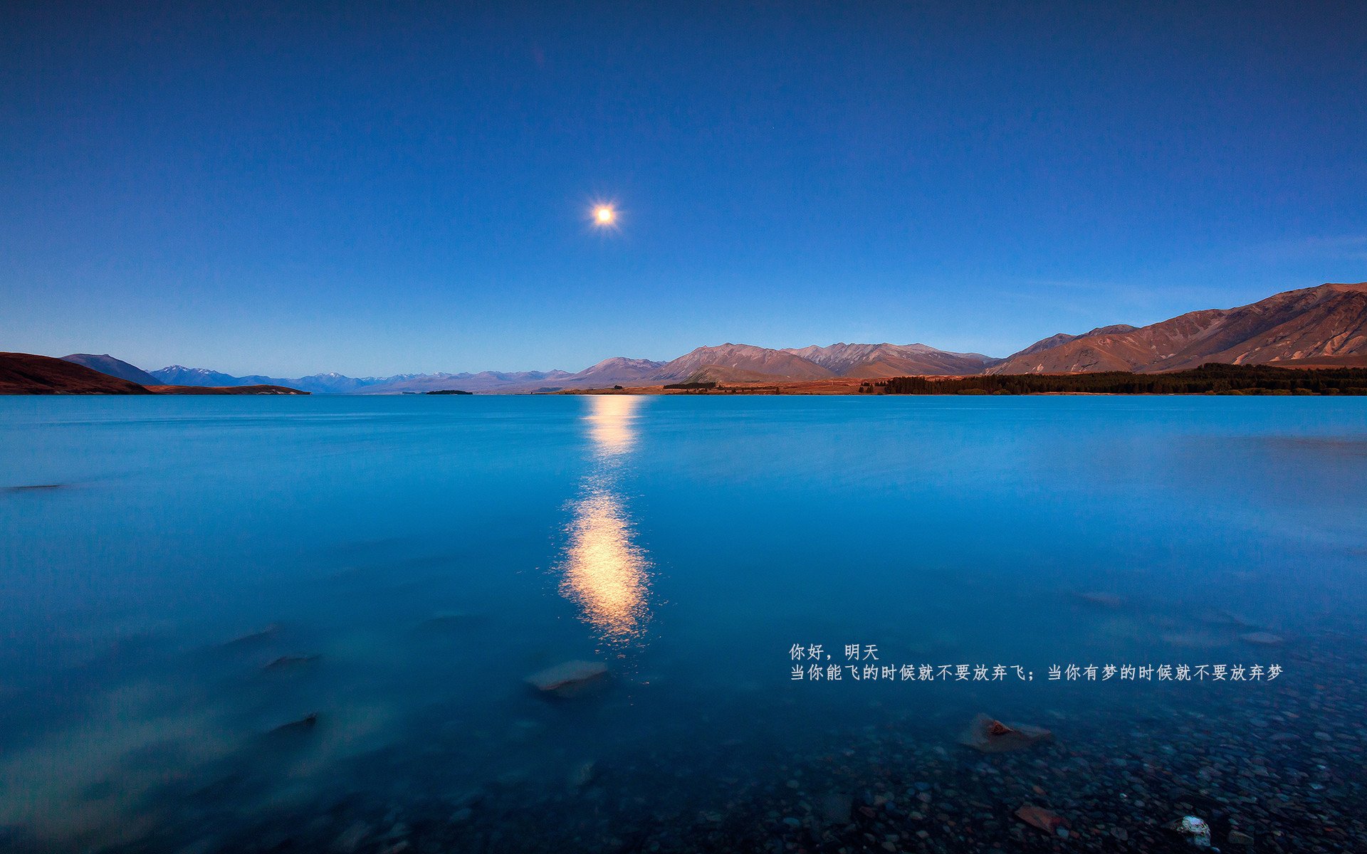 跨越太平洋的篮球之光,文班亚马的爆发与广厦队的争冠启示