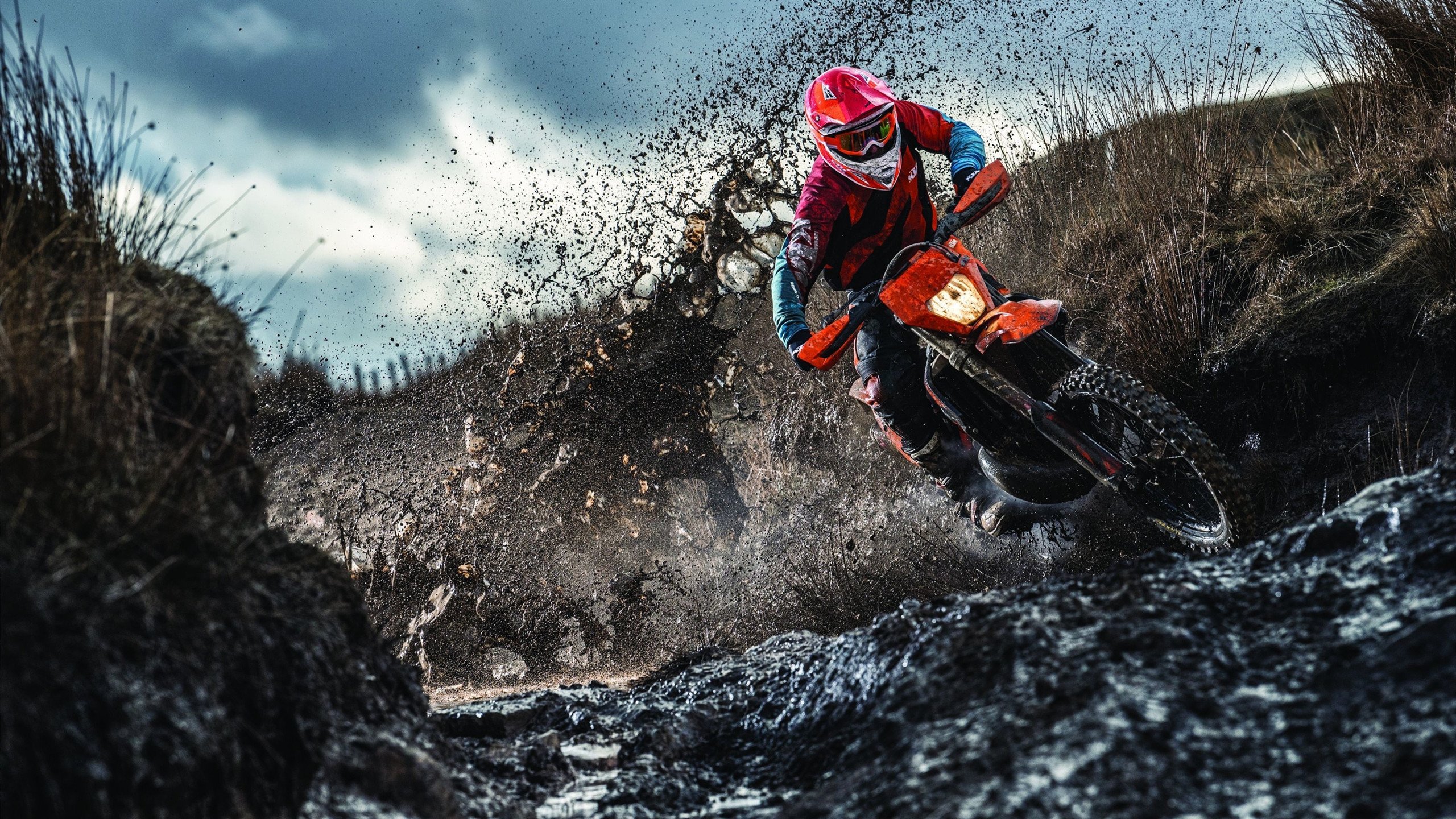 寒冰射手化为赤焰，范弗利特关键时刻连斩12分拯救猛龙