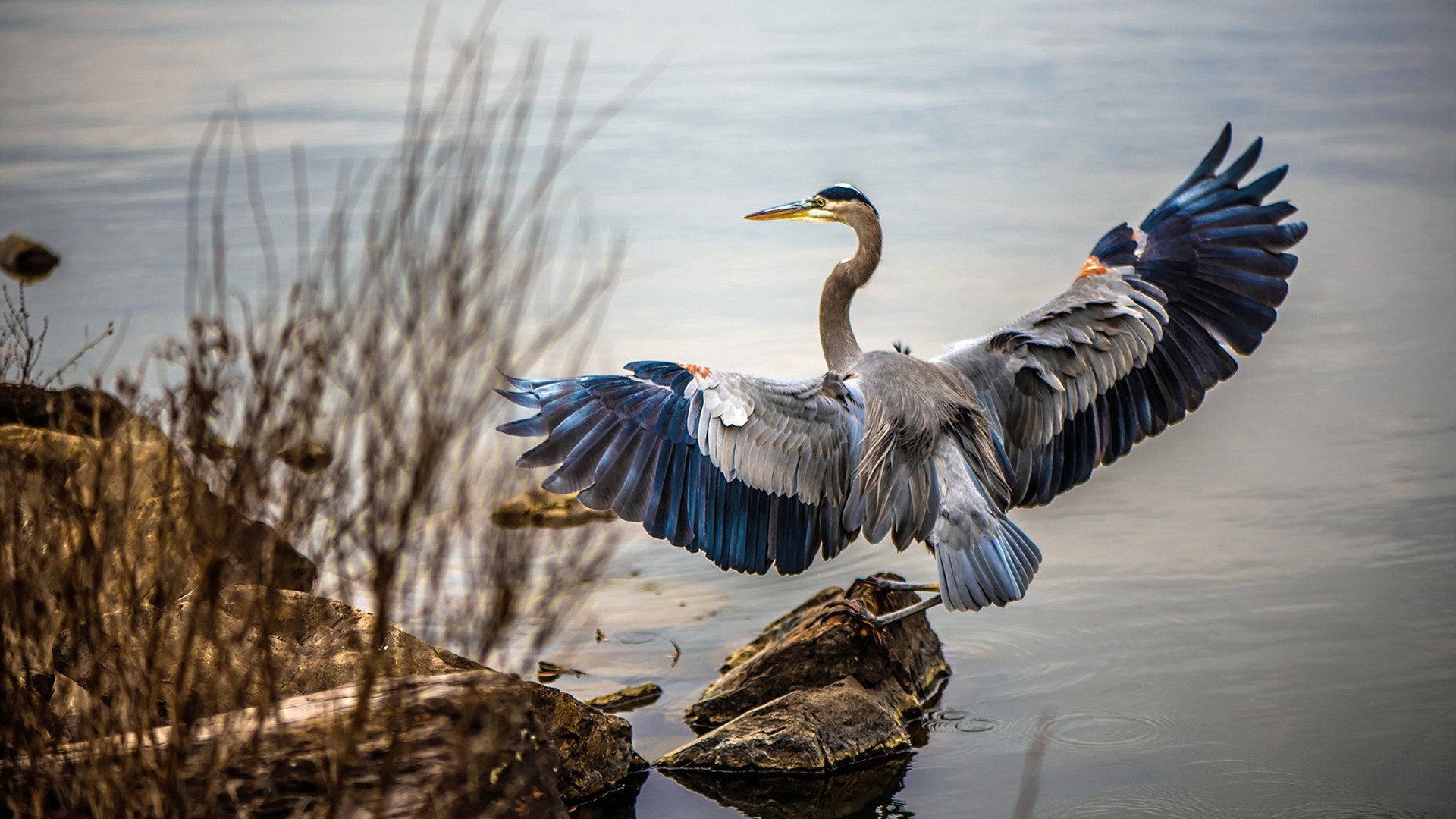 沙漠利刃与白色高墙，当亚洲雄心撞上欧洲铁壁