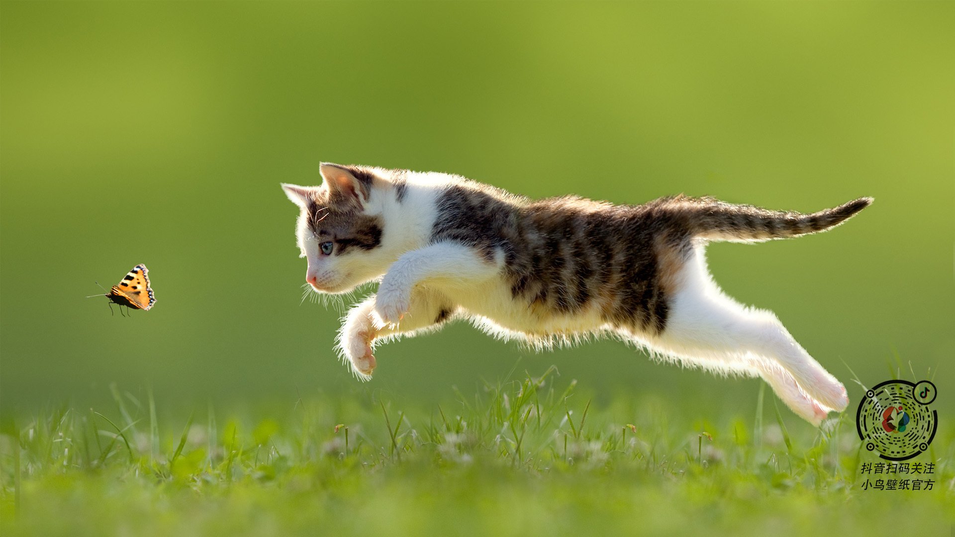 钢铁城墙锁黄蜂，乔治一剑封喉成关键先生