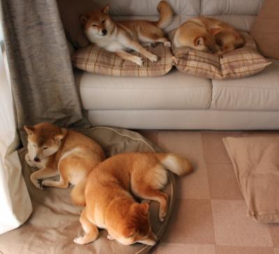 王者之剑,京多安在利物浦与乌拉圭风格对决中接管年度焦点之战