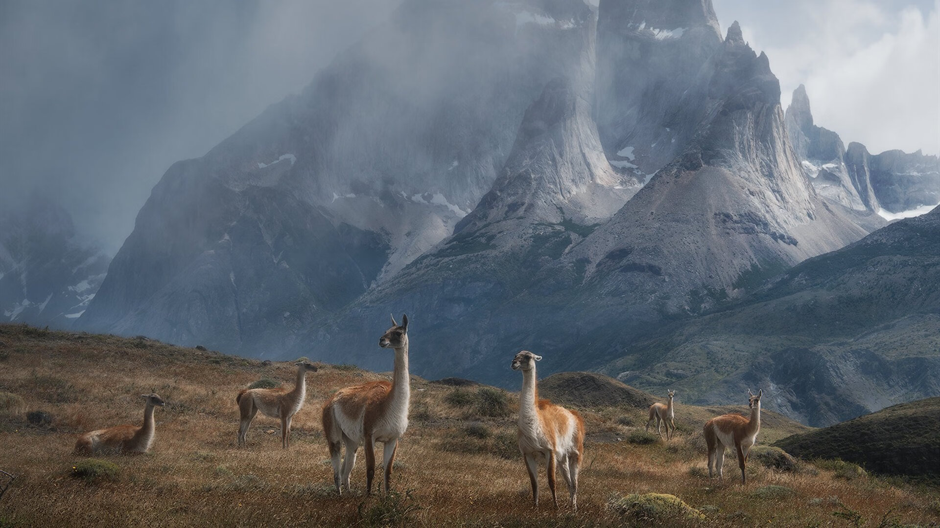 速度与激情共舞,F1新赛季揭幕战焦点战引爆全球,浙江队主场强势粉碎山西队