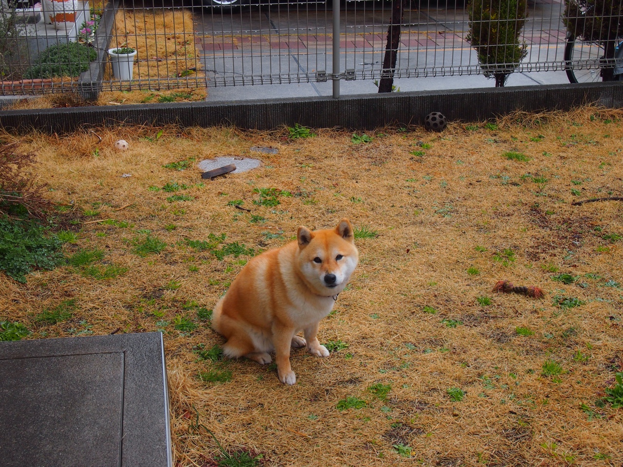 小贾伦攻防封神主宰末节,国王万箭齐发烧穿热火防线