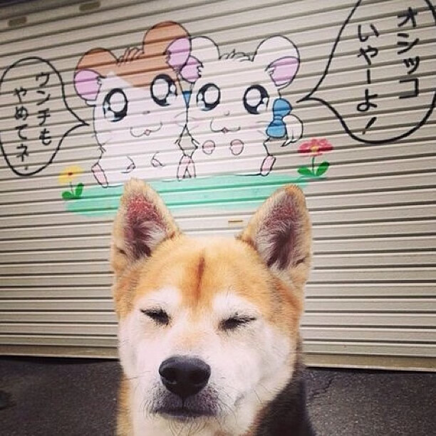 神话陨落，当沙漠战术洪流淹没了奥林匹斯的余晖